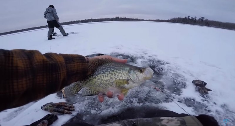 Explore ice fishing live